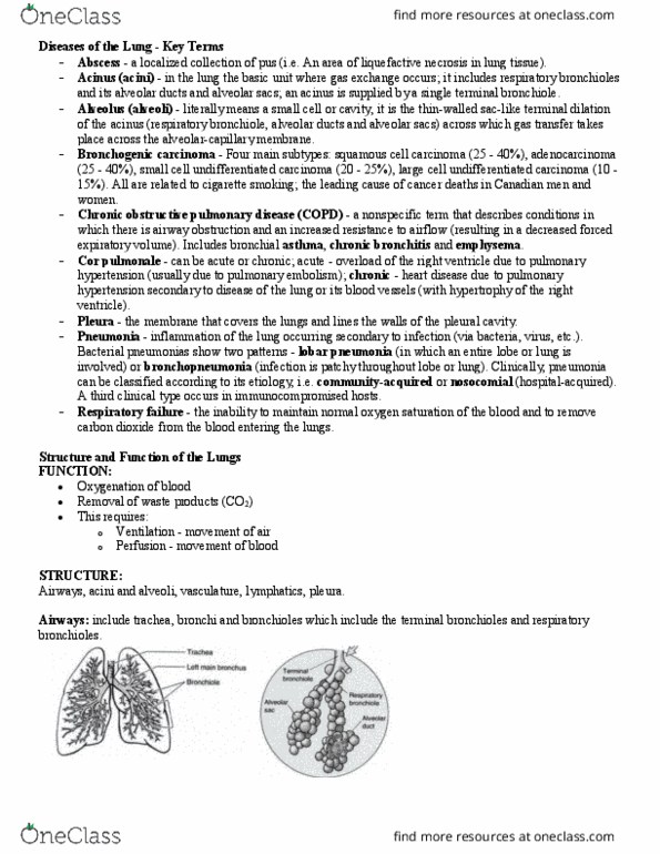 Pathology 2420A Lecture Notes - Lecture 8: Squamous Cell Carcinoma, Obstructive Lung Disease, Small-Cell Carcinoma thumbnail