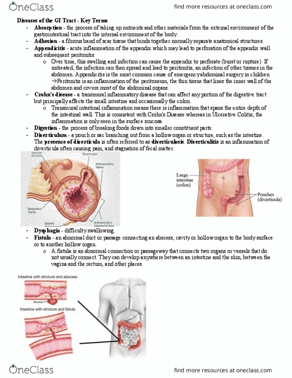 Pathology 2420A Lecture 11: Module 11 thumbnail