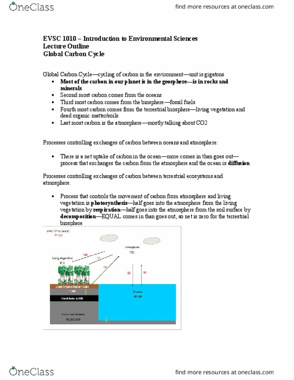EVSC 1010 Lecture Notes - Lecture 13: Carbon Cycle, Permafrost, Cellular Respiration thumbnail