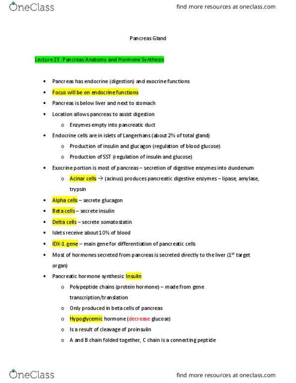 NPB 130 Lecture Notes - Lecture 23: Pancreatic Duct, Centroacinar Cell, Acinus thumbnail