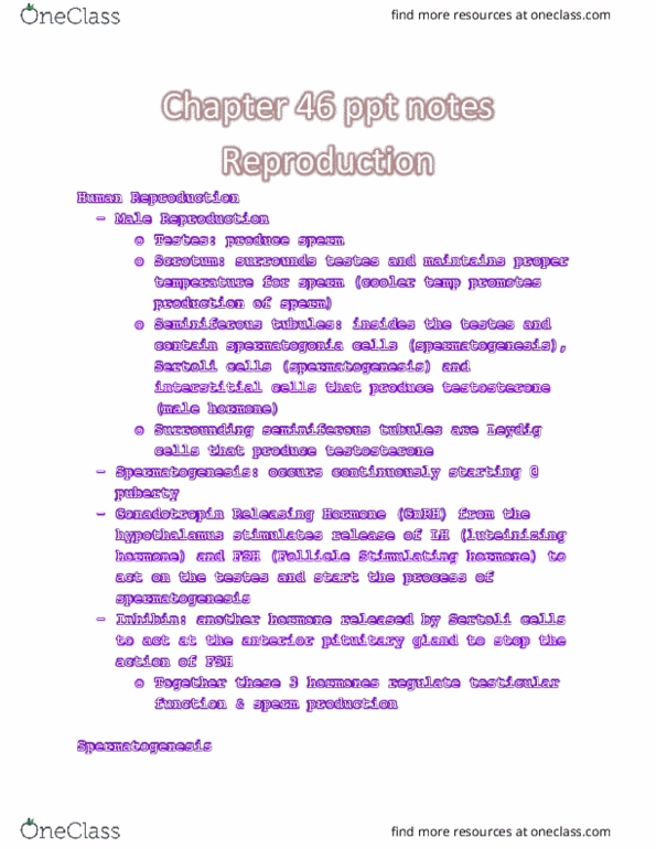 BIO 150 Chapter Notes - Chapter 46: Seminiferous Tubule, Sertoli Cell, Leydig Cell thumbnail