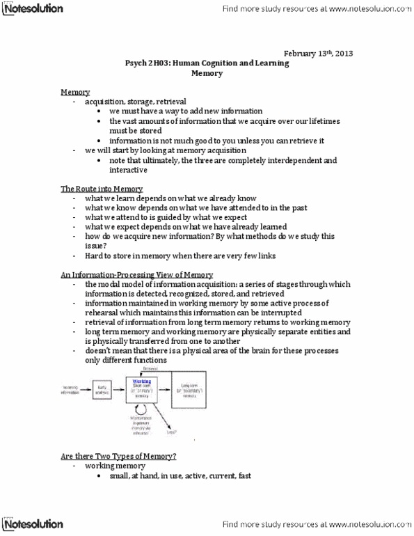 PSYCH 2H03 Lecture Notes - Memory Rehearsal, Long-Term Memory, Interference Theory thumbnail