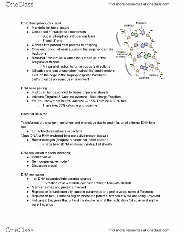 BIOL 111 Lecture Notes - Lecture 15: Dna Replication, Antimicrobial Resistance, Cytosine thumbnail
