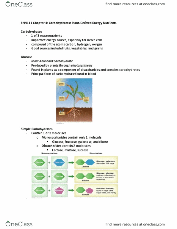 FNN 111 Lecture Notes - Lecture 4: Guar Gum, Diabetes Mellitus Type 2, Blood Sugar thumbnail