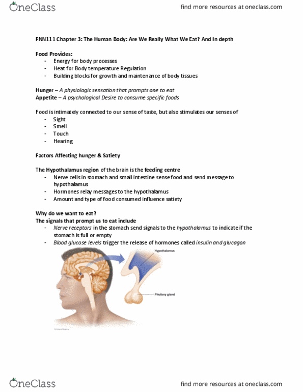 FNN 111 Lecture Notes - Lecture 3: Hypothalamus, Mucus, Lipase thumbnail