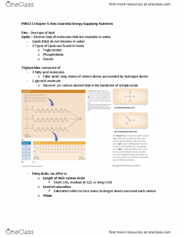 FNN 111 Lecture Notes - Lecture 5: Sterol, Glycerol, Phospholipid thumbnail