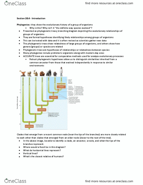 Biology 1001A Chapter Notes - Chapter Cycle 10: Evolutionary Taxonomy, Carl Linnaeus, Tetrapod thumbnail