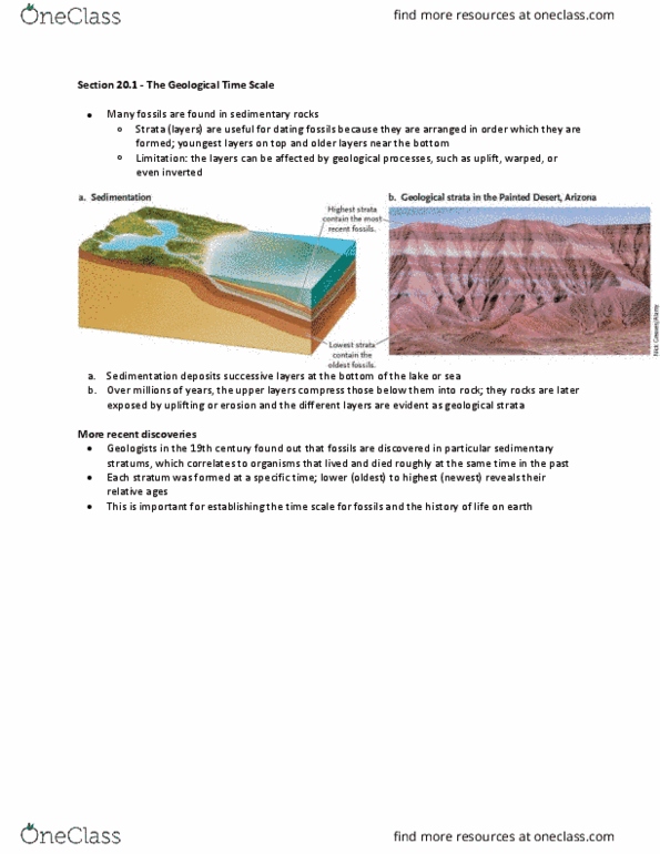 Biology 1001A Chapter Notes - Chapter Cycle 10: Sphenopteris, Stromatolite, Gastrolith thumbnail
