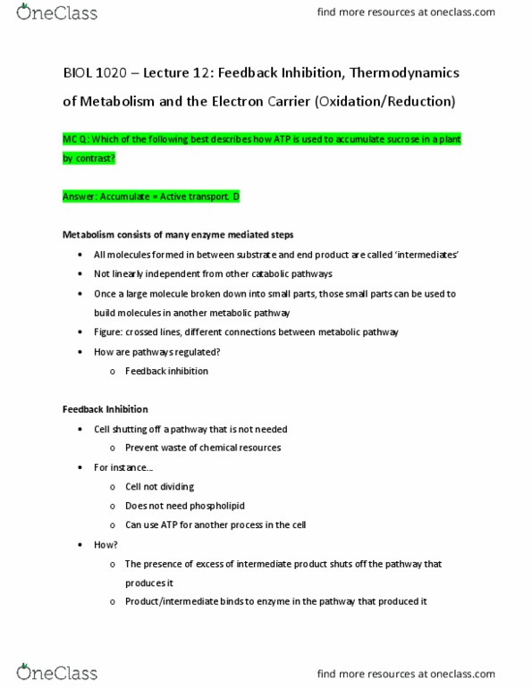 BIOL 1020 Lecture Notes - Lecture 12: Allosteric Regulation, Metabolic Pathway, Isoleucine thumbnail