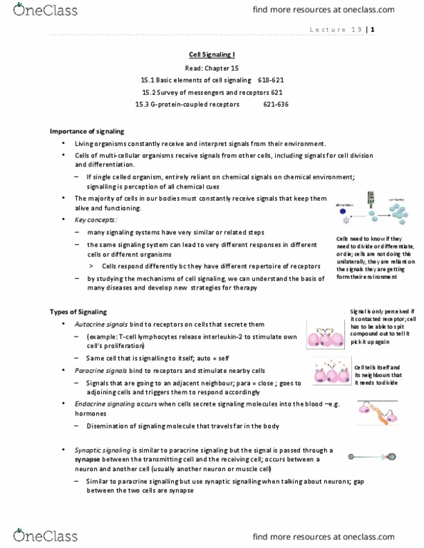 BIOL 2520 Lecture Notes - Lecture 19: Paracrine Signalling, Signal Transduction, Lipophobicity thumbnail