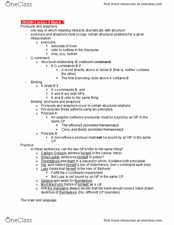 LIN101H1 Lecture Notes - Lecture 8: Curved Mirror, Hogwarts, Paparazzi thumbnail