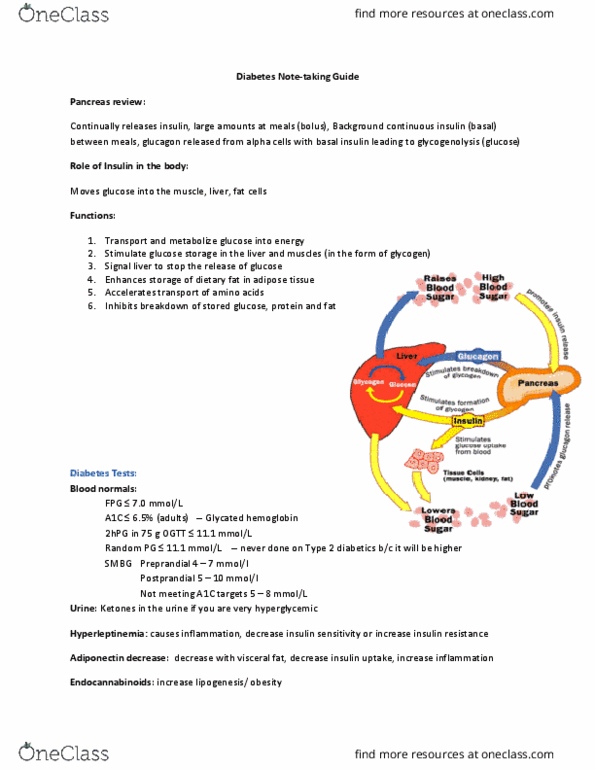 NURS201 Lecture Notes - Lecture 7: Diabetes Mellitus Type 2, Glycated Hemoglobin, Diuresis thumbnail