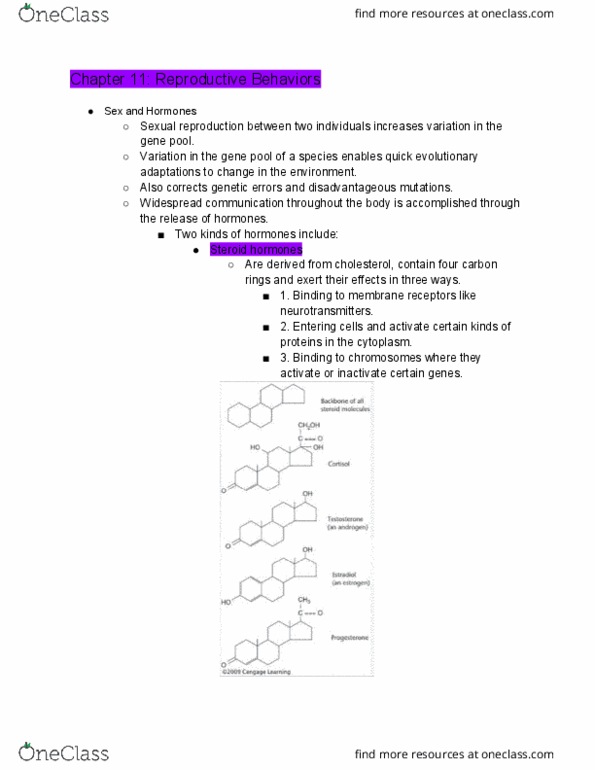 SC213 Lecture Notes - Lecture 11: Paramesonephric Duct, Vas Deferens, Seminal Vesicle thumbnail