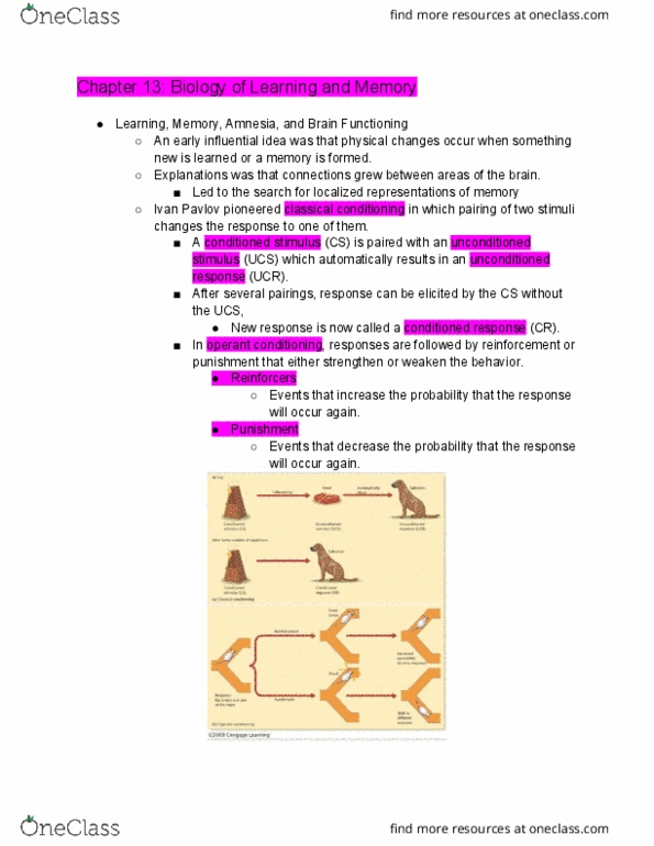 SC213 Lecture Notes - Lecture 13: Karl Lashley, Classical Conditioning, Operant Conditioning thumbnail