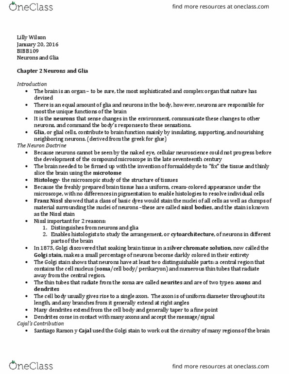 BIOL 01113 Lecture Notes - Lecture 4: Franz Nissl, Golgi'S Method, Nissl Body thumbnail