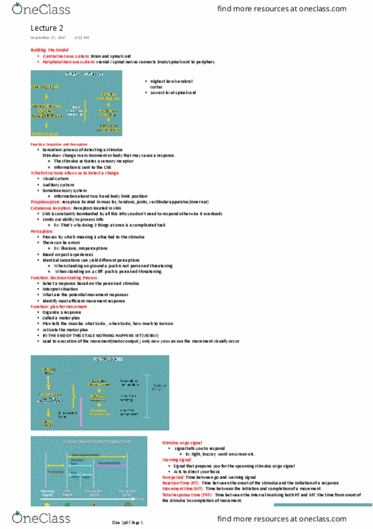 KINE 2P05 Lecture Notes - Lecture 2: Cutaneous Receptor, Vestibular System, Motor Goal thumbnail