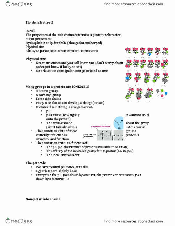 Biochemistry 2280A Lecture Notes - Lecture 2: Propitiation, Acid Dissociation Constant, Stage Name thumbnail