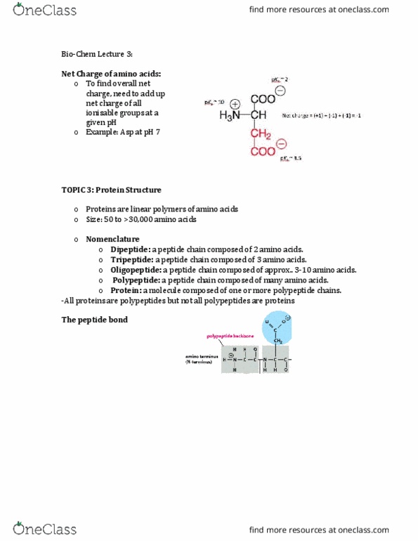 Biochemistry 2280A Lecture Notes - Lecture 3: Carboxylic Acid, Oligopeptide, Protein Folding thumbnail
