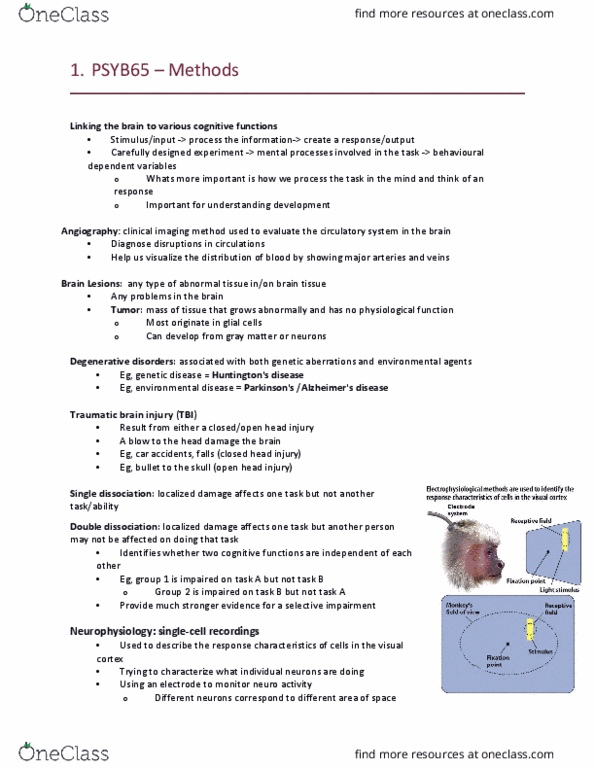 PSYB65H3 Lecture Notes - Lecture 2: Traumatic Brain Injury, Penetrating Head Injury, Closed Head Injury thumbnail