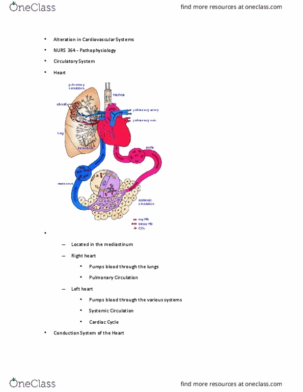 NURS 364 Lecture Notes - Lecture 1: Pulmonary Valve, Left Coronary Artery, Right Coronary Artery thumbnail