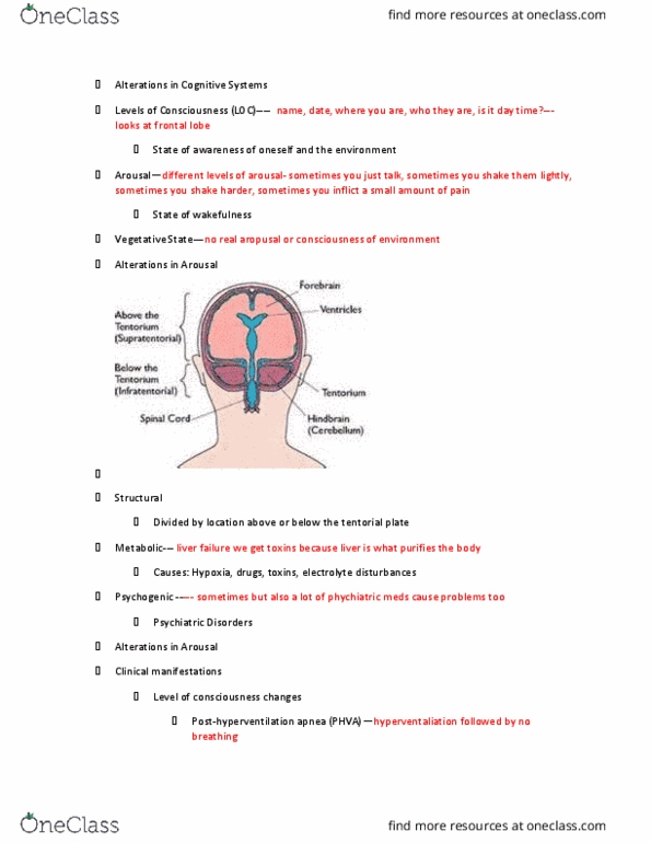 NURS 364 Lecture Notes - Lecture 2: Blunt Trauma, Generalised Epilepsy, Frontal Lobe thumbnail