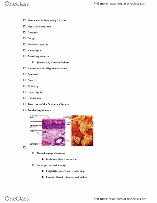 NURS 364 Lecture Notes - Lecture 4: Alveolar Cells, Flail Chest, Thoracic Cavity thumbnail