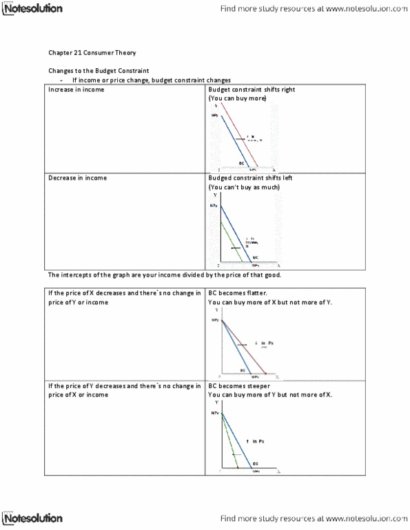 ECON 1B03 Lecture Notes - Substitute Good, Budget Constraint, Indifference Curve thumbnail