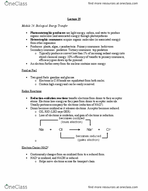 BI110 Lecture Notes - Lecture 25: Radiant Energy, Herbivore, Phototroph thumbnail