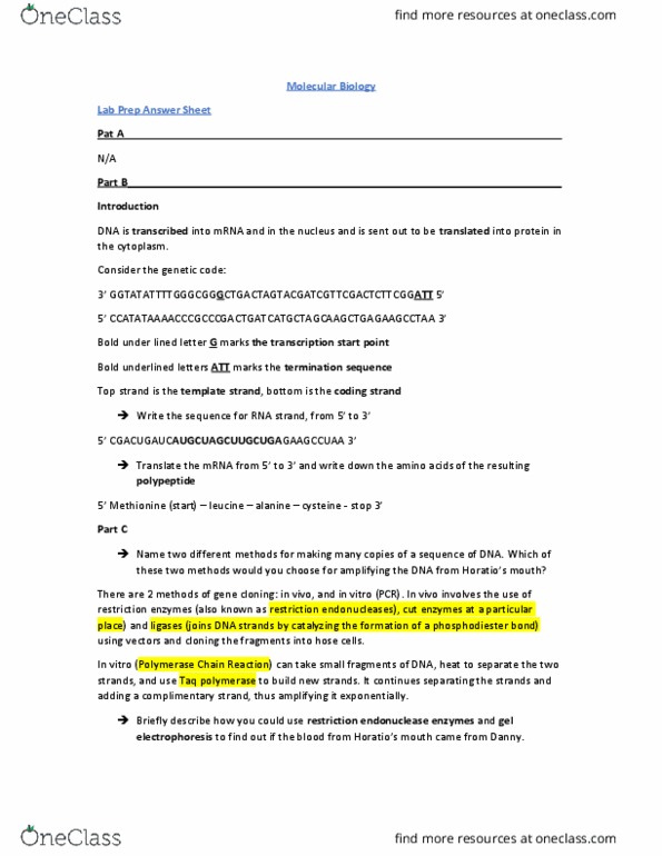 BISC 101 Lecture Notes - Lecture 4: Restriction Enzyme, Phosphodiester Bond, Leucine thumbnail