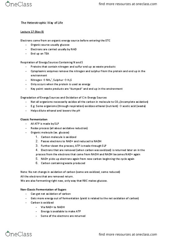 MICB 201 Chapter Notes - Chapter 17: Heterotroph, Nicotinamide Adenine Dinucleotide thumbnail