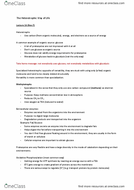 MICB 201 Chapter Notes - Chapter 16: Oxidative Phosphorylation, Electrochemical Gradient, Heterotroph thumbnail