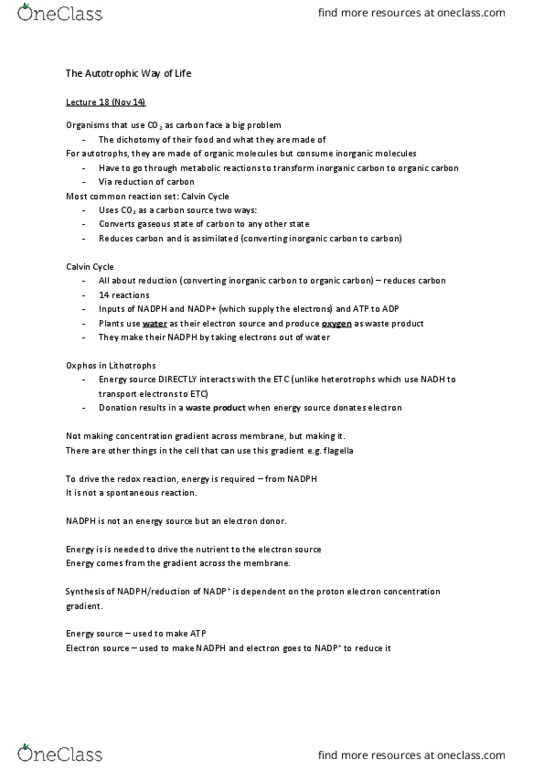 MICB 201 Chapter Notes - Chapter 18: Light-Independent Reactions, Anammox, Redox thumbnail