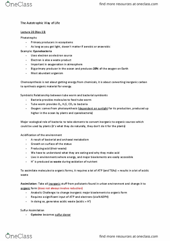 MICB 201 Chapter Notes - Chapter 20: Nitrogen Assimilation, Glutamine, Light-Independent Reactions thumbnail