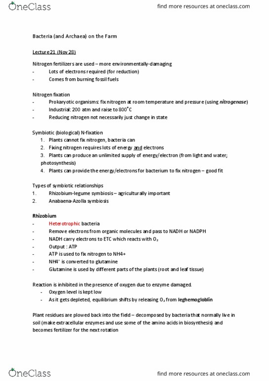 MICB 201 Chapter Notes - Chapter 21: Nitrogen Fixation, Photophosphorylation, Heterocyst thumbnail