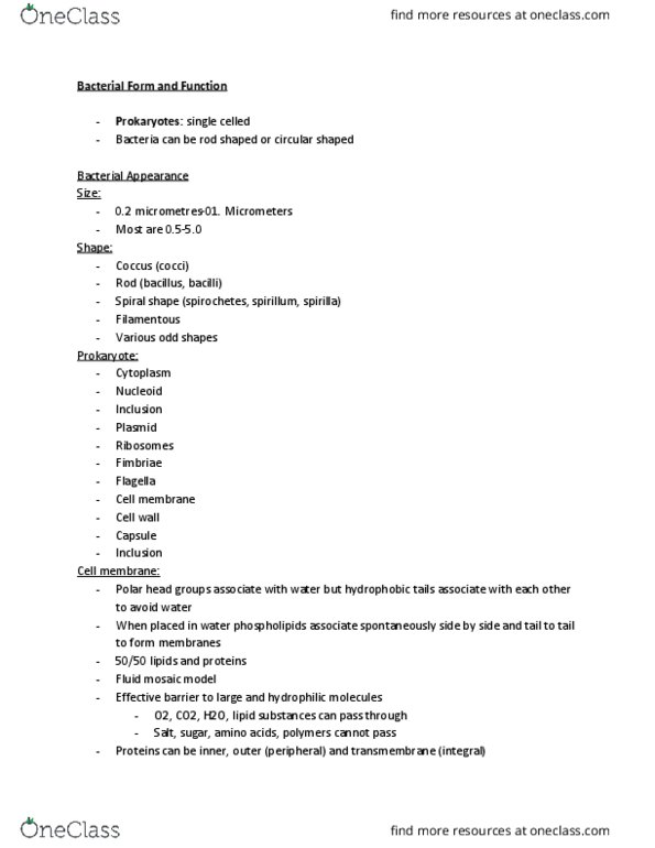 BI111 Lecture Notes - Lecture 4: Fluid Mosaic Model, Gram-Negative Bacteria, Spiral Bacteria thumbnail