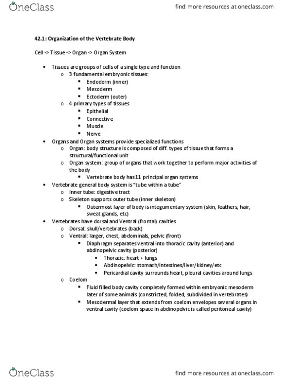 BIOL 2312 Lecture Notes - Lecture 42: Stratified Squamous Epithelium, Thoracic Cavity, Pericardium thumbnail