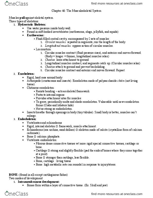 BIOL 2312 Lecture Notes - Lecture 46: Epiphyseal Plate, Haversian Canal, Medullary Cavity thumbnail