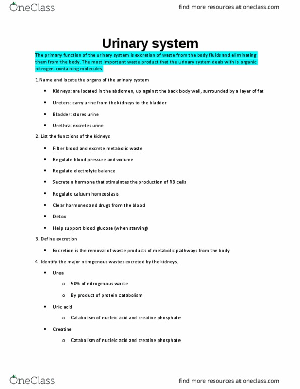 BIOL 1050H Lecture Notes - Lecture 8: Phosphocreatine, Nephron, Urinary System thumbnail