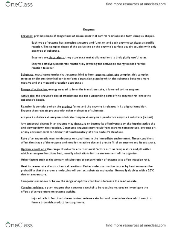 BIO 1105 Lecture Notes - Lecture 4: Catechol Oxidase, Catechol, Peroxidase thumbnail