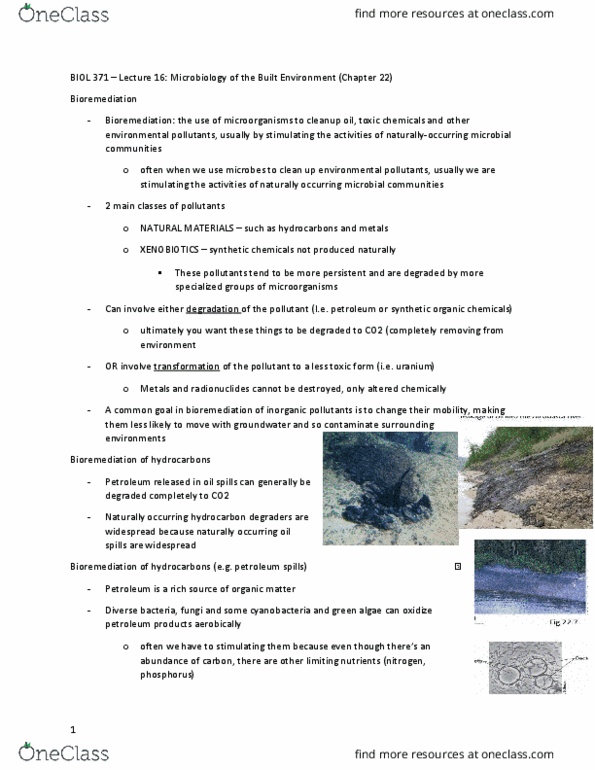 BIOL 371 Lecture Notes - Lecture 16: Biochemical Oxygen Demand, Anaerobic Respiration, Plastics Industry thumbnail