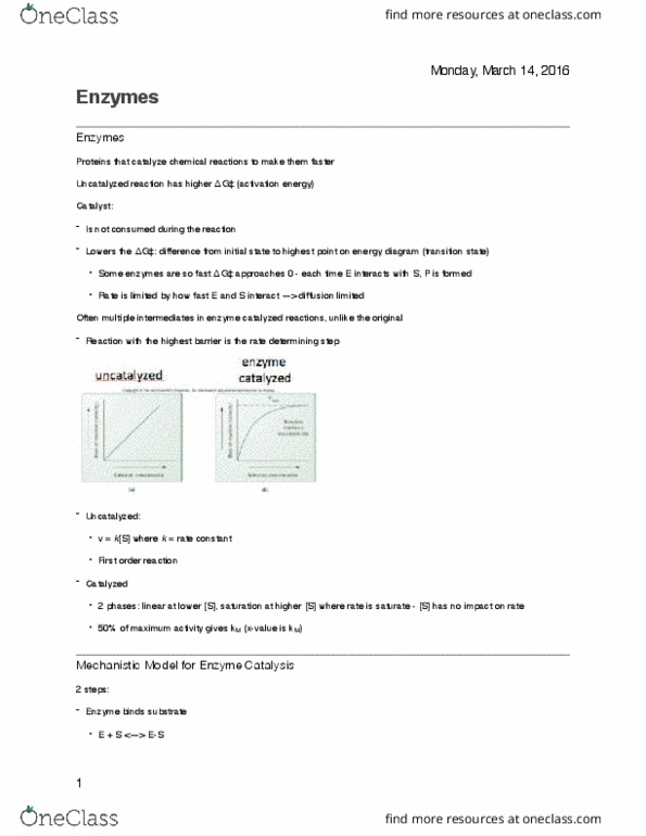 BCH 2333 Lecture Notes - Lecture 13: Reaction Rate Constant, Heme, London Dispersion Force thumbnail
