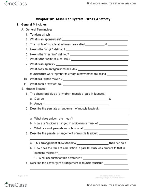 01:119:127 Chapter Notes - Chapter 10: Eyelid, Erector Spinae Muscles, Gluteus Maximus Muscle thumbnail