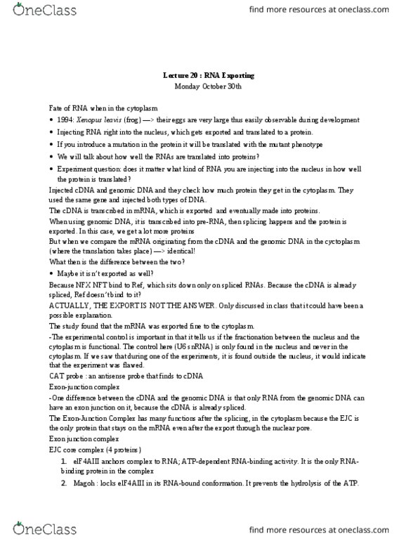 BIOL 300 Lecture Notes - Lecture 20: Stem-Loop, Stop Codon, Internal Ribosome Entry Site thumbnail