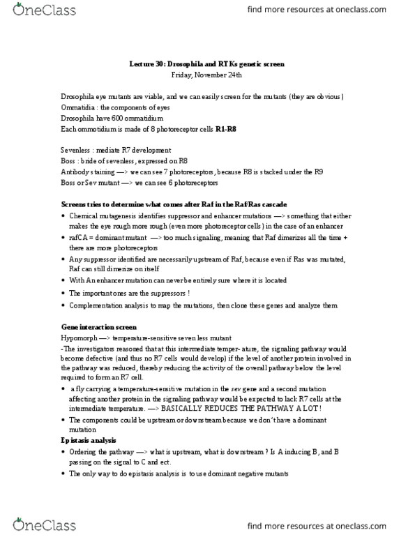 BIOL 300 Lecture Notes - Lecture 30: Scaffold Protein, Restricted Product, Paxillin thumbnail