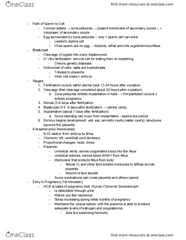 PHSL 3051 Lecture Notes - Lecture 28: Fetus, Cell Membrane, Inner Cell Mass thumbnail