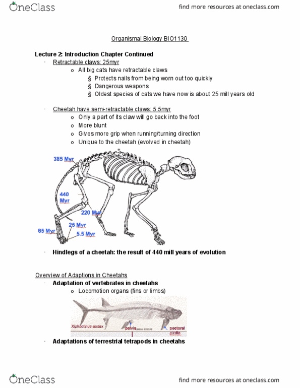 BIO 1130 Lecture Notes - Lecture 2: Shoulder Girdle, American Cheetah, Digitigrade thumbnail