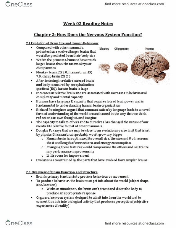 PSYB65H3 Chapter Notes - Chapter 2: Piriform Cortex, Pituitary Gland, James Papez thumbnail