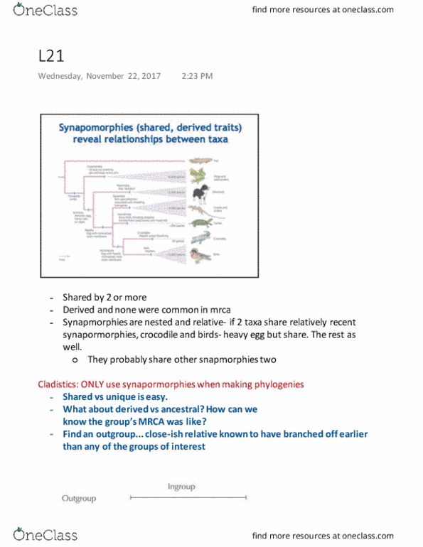 Biology 1001A Lecture Notes - Lecture 21: Synapomorphy, Divergent Evolution, Lactation thumbnail