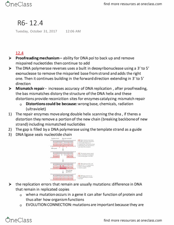Biology 1001A Chapter Notes - Chapter 12: Euchromatin, Heterochromatin, Histone H2B thumbnail