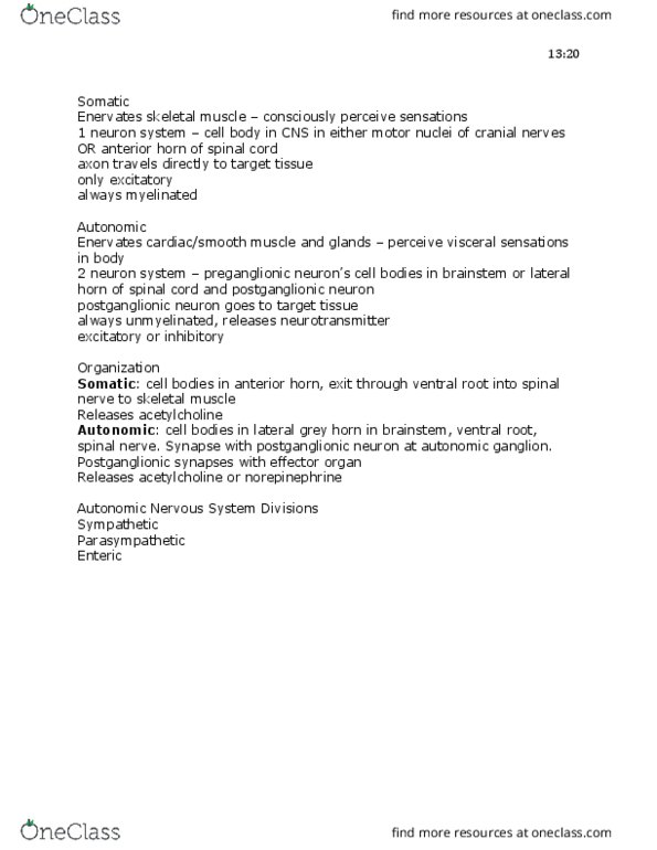 KINESIOL 1A03 Lecture Notes - Lecture 2: Baroreceptor, Neuromuscular Junction, Glossopharyngeal Nerve thumbnail